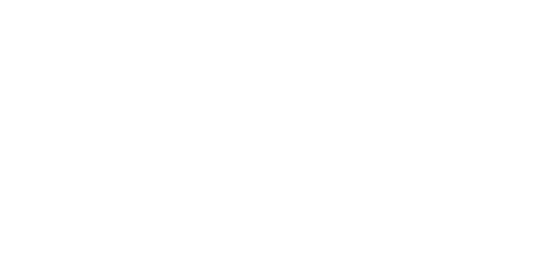Capital Holdings logo